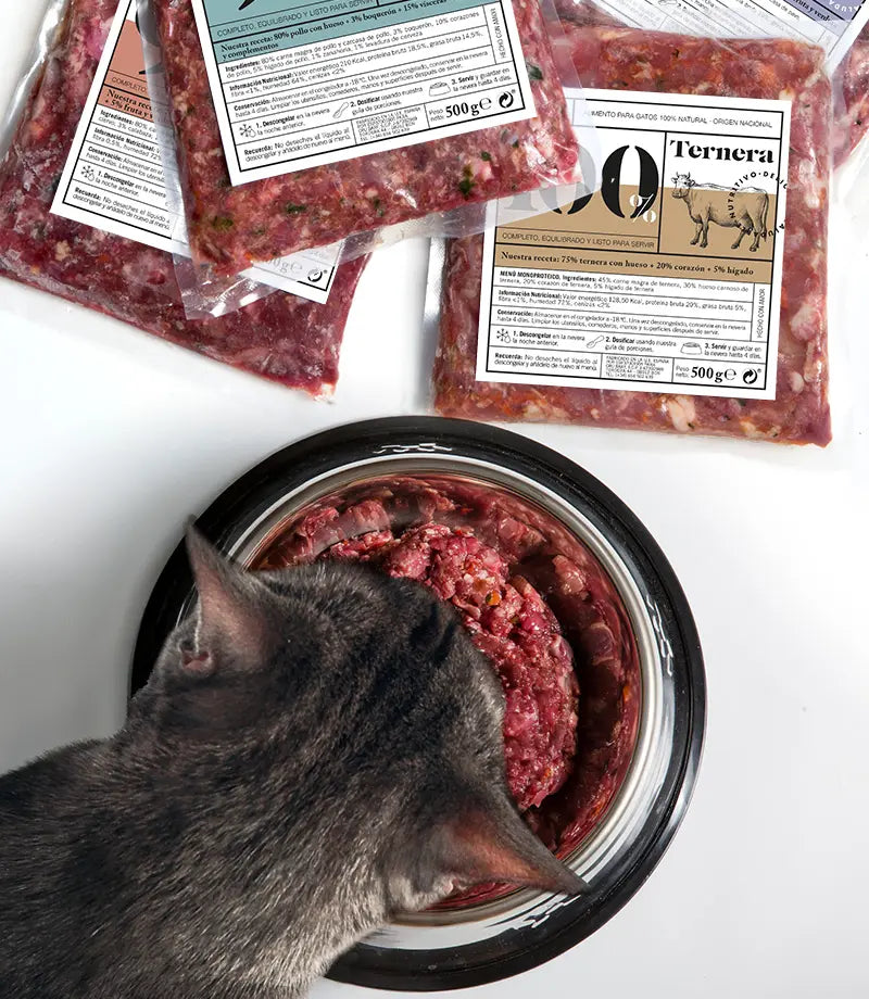 transicion al alimento crudo gatos